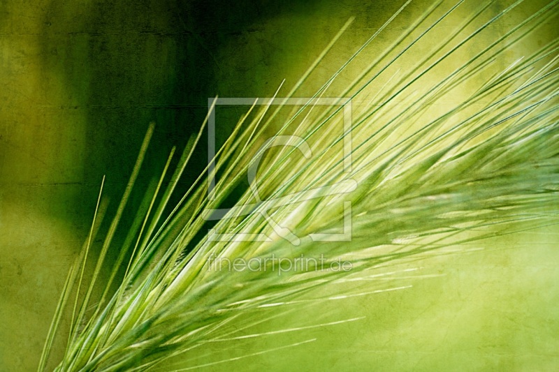 frei w&auml;hlbarer Bildausschnitt f&uuml;r Ihr Bild auf Tischdecke