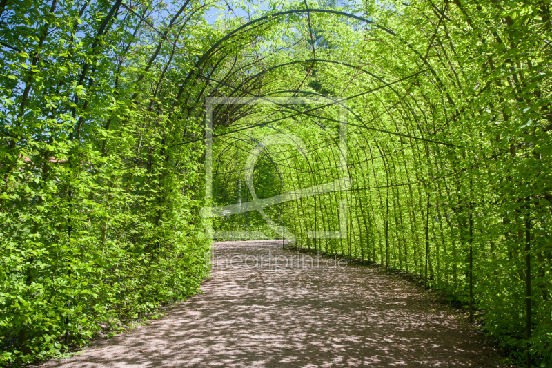 frei wählbarer Bildausschnitt für Ihr Bild auf Tischdecke