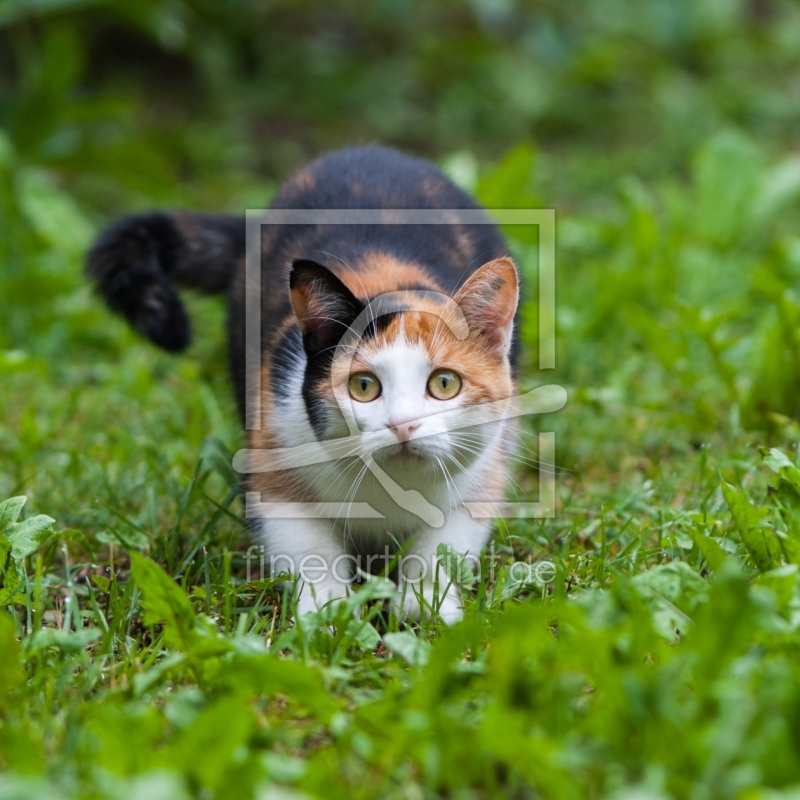 frei w&auml;hlbarer Bildausschnitt f&uuml;r Ihr Bild auf Tischdecke