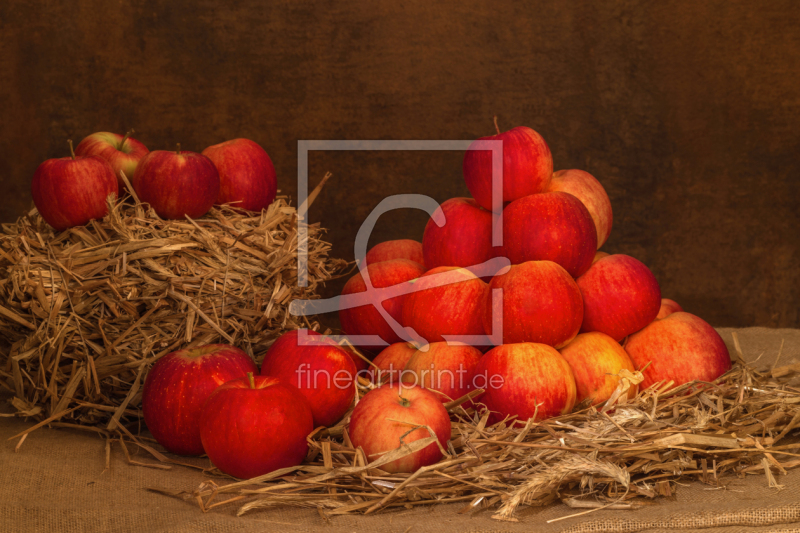 frei wählbarer Bildausschnitt für Ihr Bild auf Tischdecke