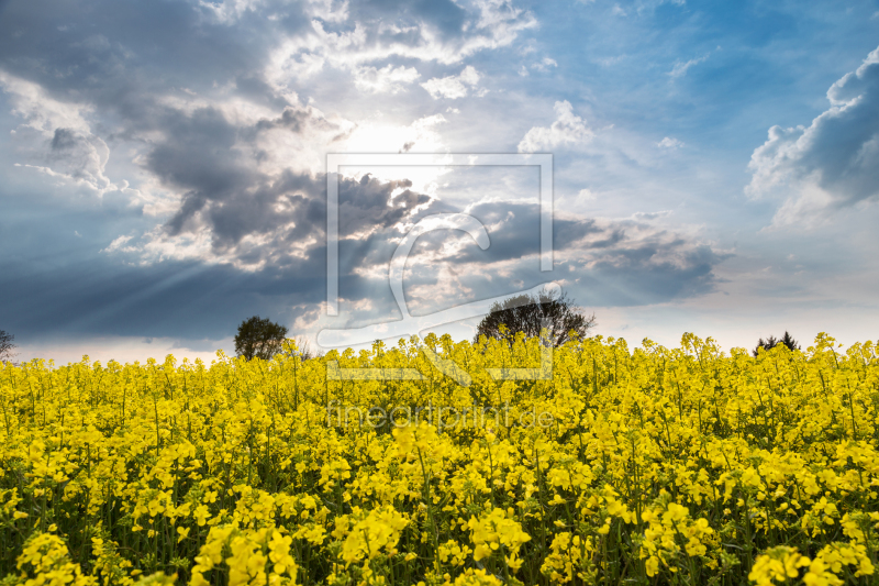 frei wählbarer Bildausschnitt für Ihr Bild auf Tischdecke