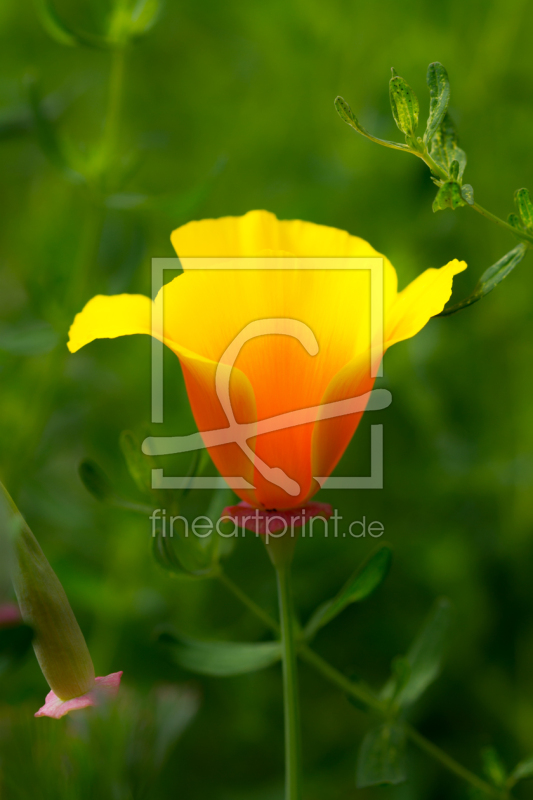 frei w&auml;hlbarer Bildausschnitt f&uuml;r Ihr Bild auf Tischdecke