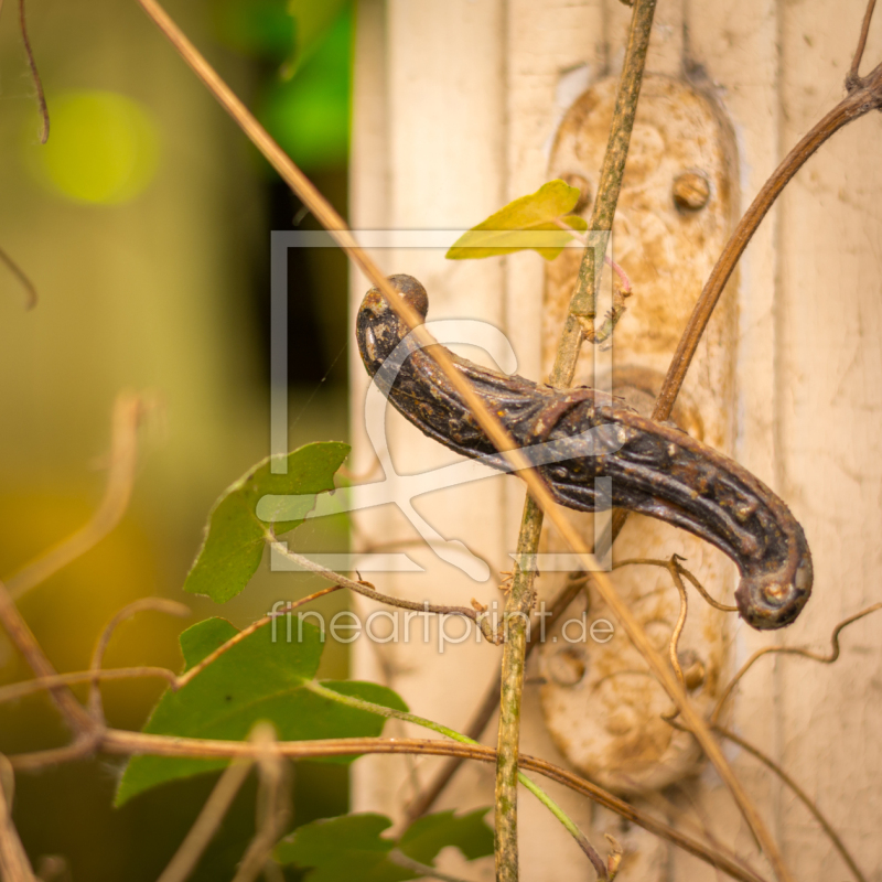frei w&auml;hlbarer Bildausschnitt f&uuml;r Ihr Bild auf Tischdecke
