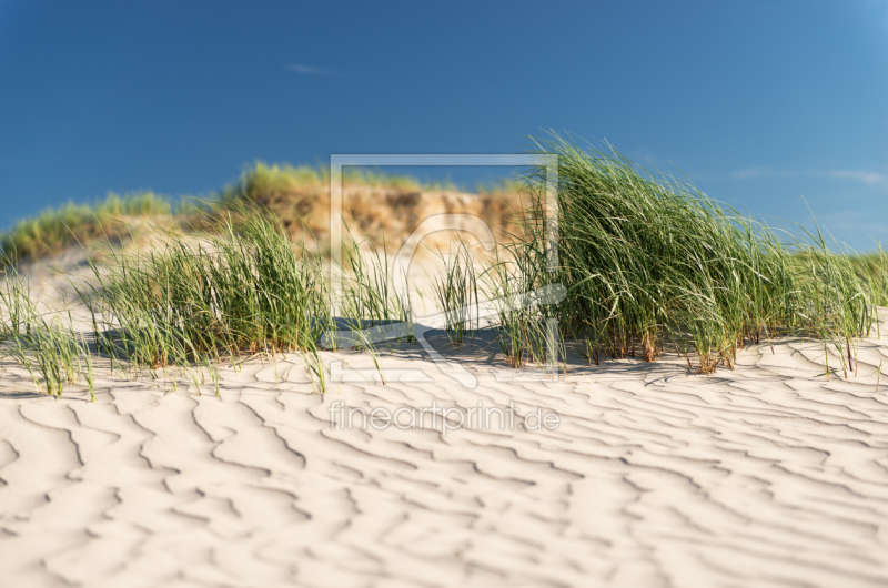 frei wählbarer Bildausschnitt für Ihr Bild auf Tischdecke