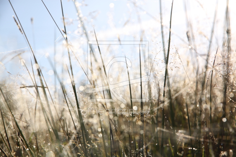 frei w&auml;hlbarer Bildausschnitt f&uuml;r Ihr Bild auf Tischdecke