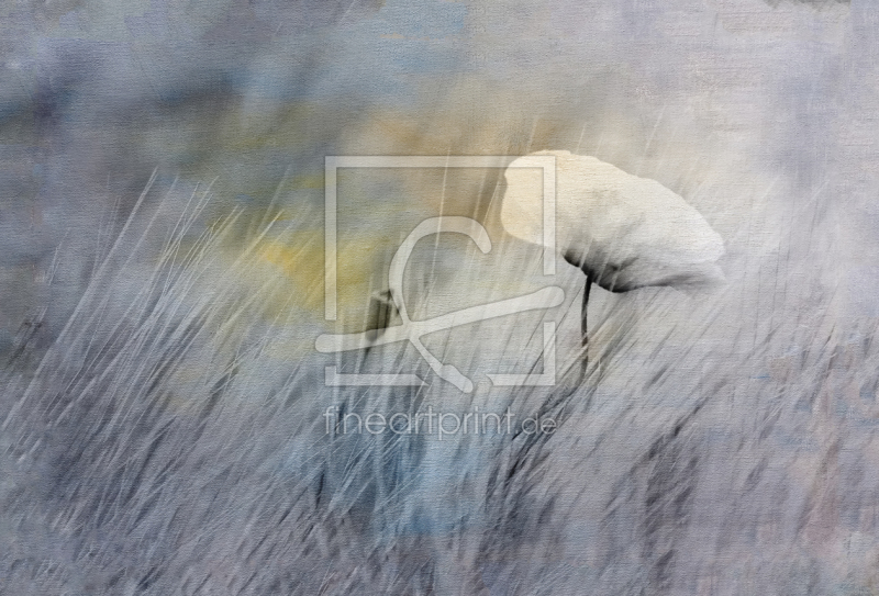 frei wählbarer Bildausschnitt für Ihr Bild auf Tischdecke