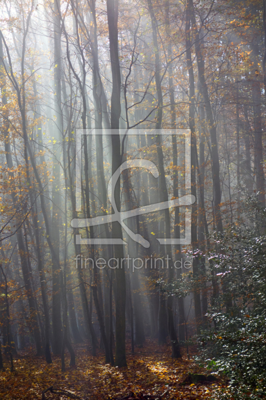 frei wählbarer Bildausschnitt für Ihr Bild auf Tischdecke