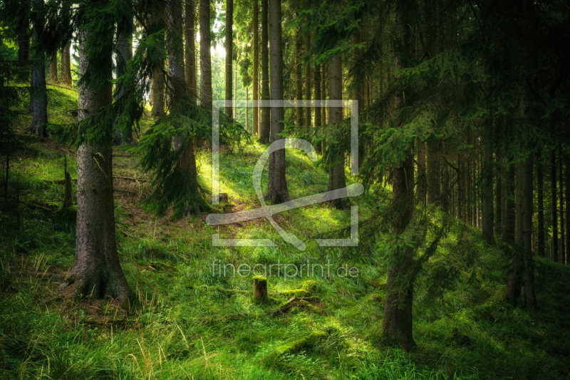 frei wählbarer Bildausschnitt für Ihr Bild auf Tischdecke