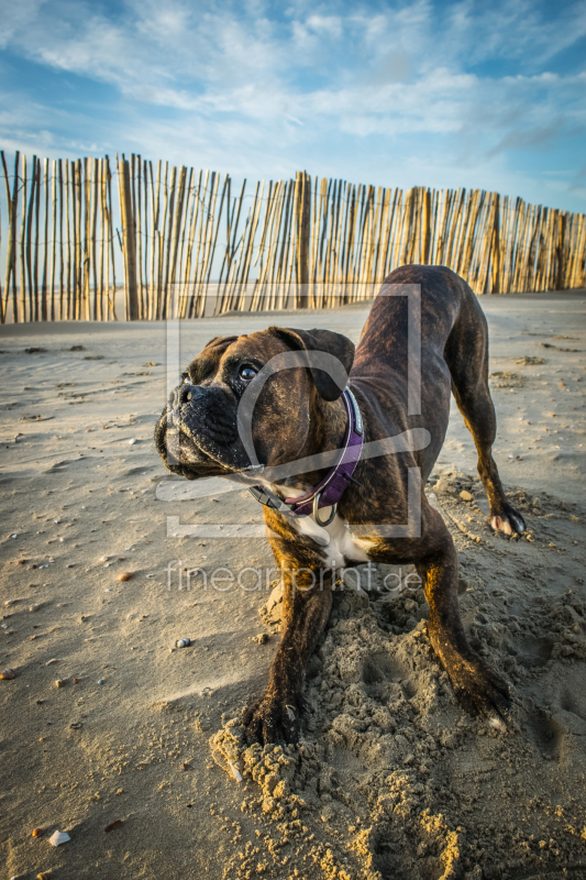 frei w&auml;hlbarer Bildausschnitt f&uuml;r Ihr Bild auf Tischdecke