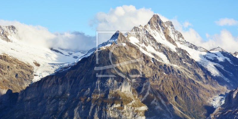 frei wählbarer Bildausschnitt für Ihr Bild auf Tischdecke