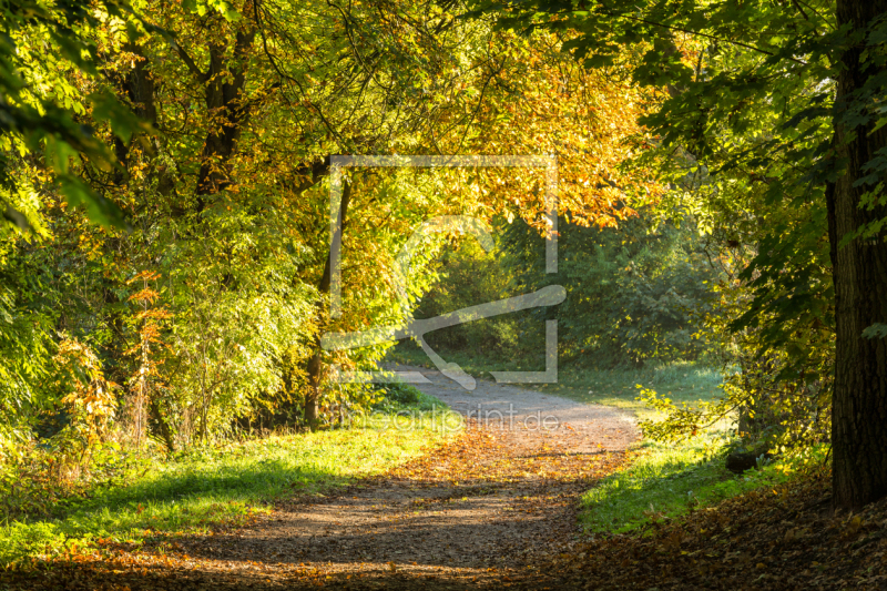 frei wählbarer Bildausschnitt für Ihr Bild auf Tischdecke