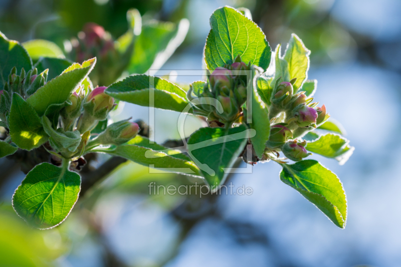 frei w&auml;hlbarer Bildausschnitt f&uuml;r Ihr Bild auf Tischdecke