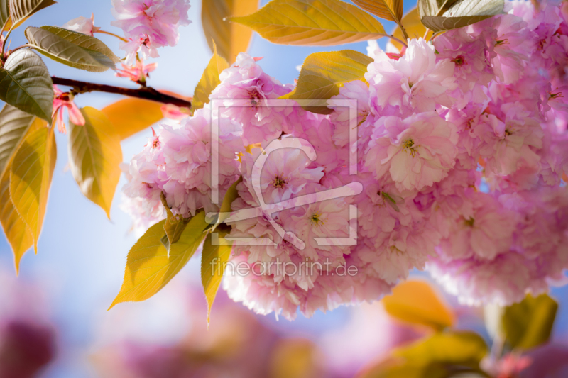 frei w&auml;hlbarer Bildausschnitt f&uuml;r Ihr Bild auf Tischdecke