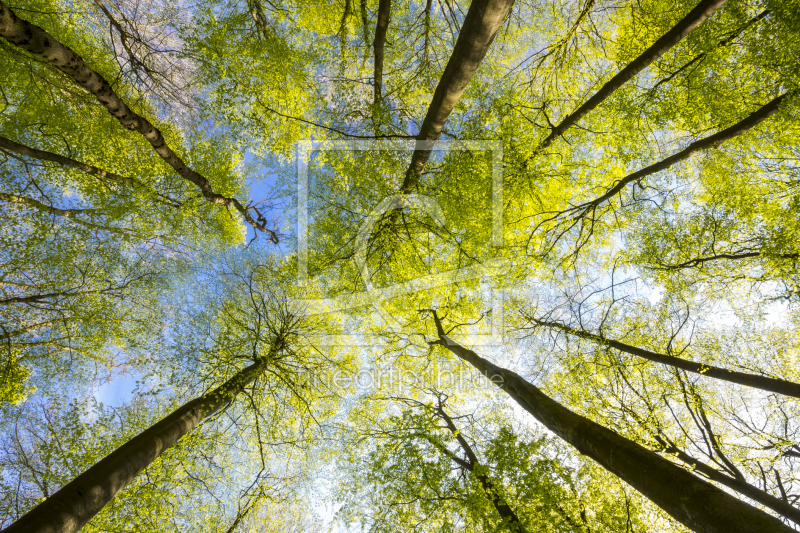 frei wählbarer Bildausschnitt für Ihr Bild auf Tischdecke