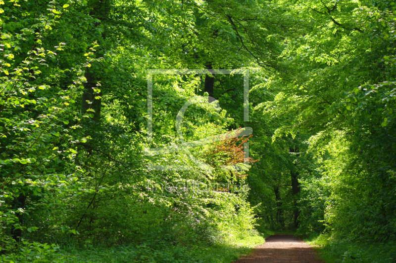 frei wählbarer Bildausschnitt für Ihr Bild auf Tischdecke