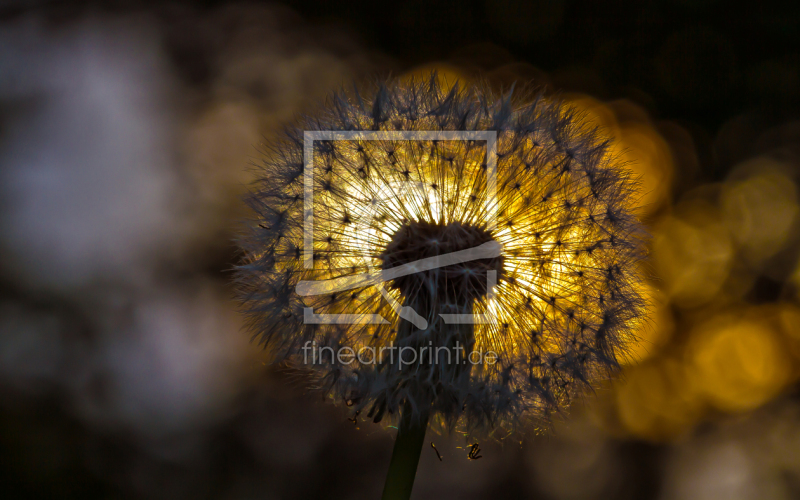 frei w&auml;hlbarer Bildausschnitt f&uuml;r Ihr Bild auf Tischdecke