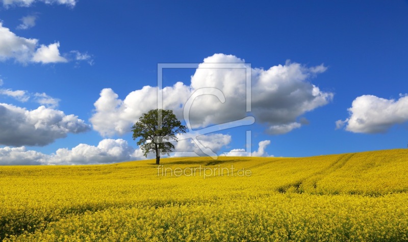 frei wählbarer Bildausschnitt für Ihr Bild auf Tischdecke