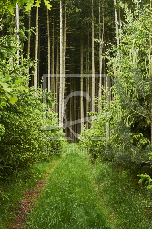 frei wählbarer Bildausschnitt für Ihr Bild auf Tischdecke