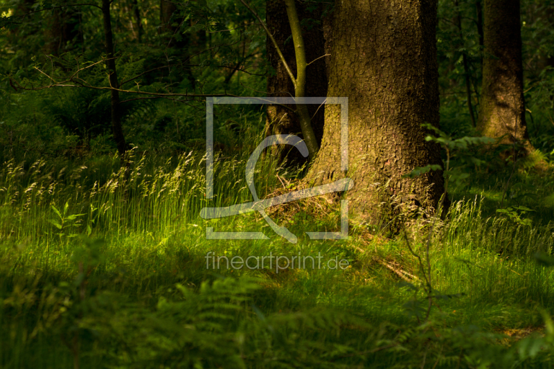 frei wählbarer Bildausschnitt für Ihr Bild auf Tischdecke