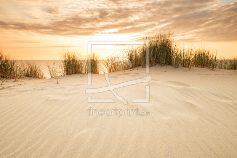 frei wählbarer Bildausschnitt für Ihr Bild auf Tischdecke