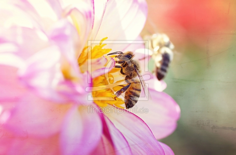 frei wählbarer Bildausschnitt für Ihr Bild auf Tischdecke
