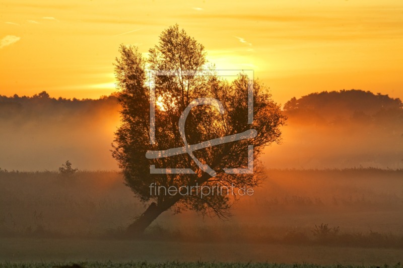 frei w&auml;hlbarer Bildausschnitt f&uuml;r Ihr Bild auf Tischdecke