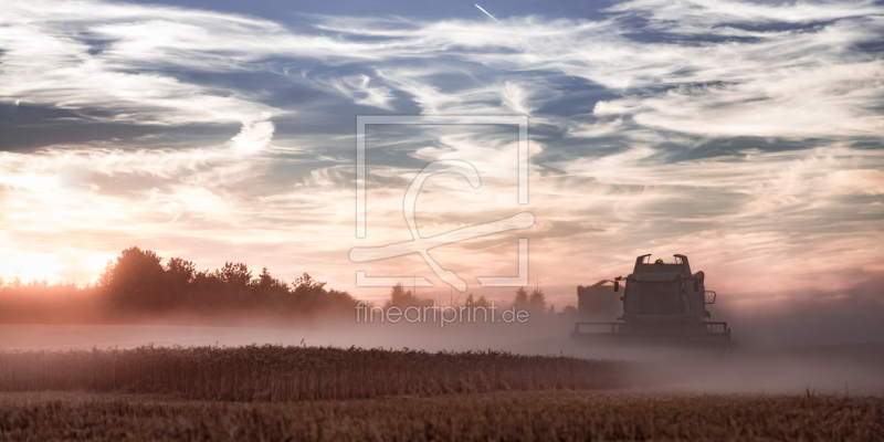 frei wählbarer Bildausschnitt für Ihr Bild auf Tischdecke