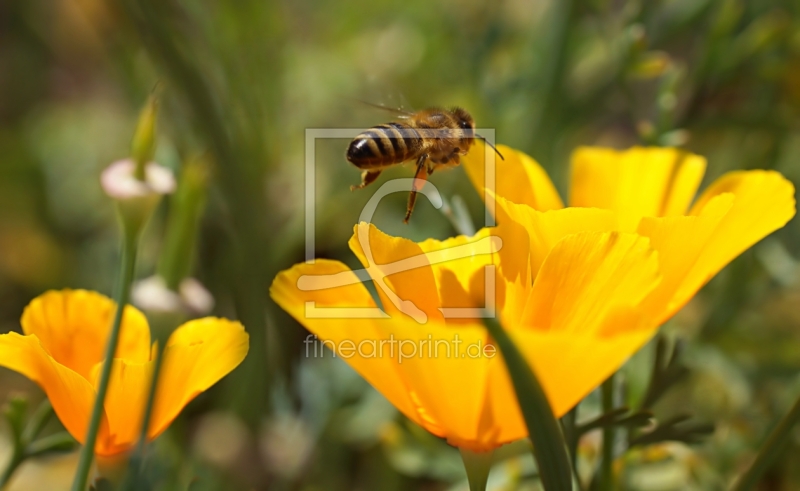 frei w&auml;hlbarer Bildausschnitt f&uuml;r Ihr Bild auf Tischdecke