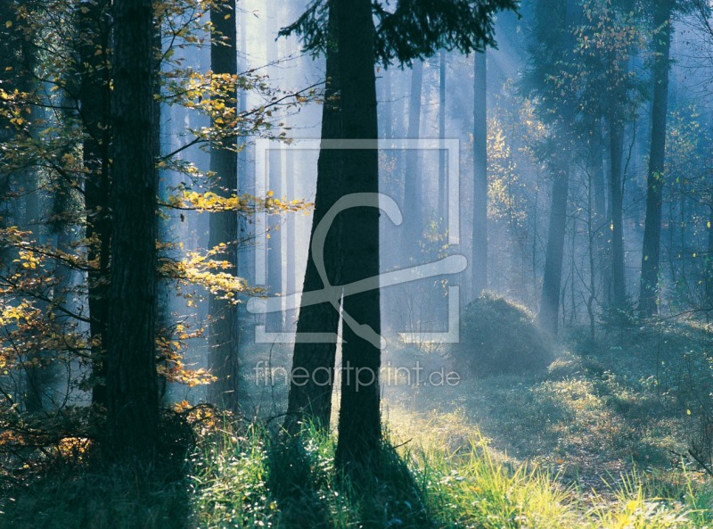 frei w&auml;hlbarer Bildausschnitt f&uuml;r Ihr Bild auf Tischdecke