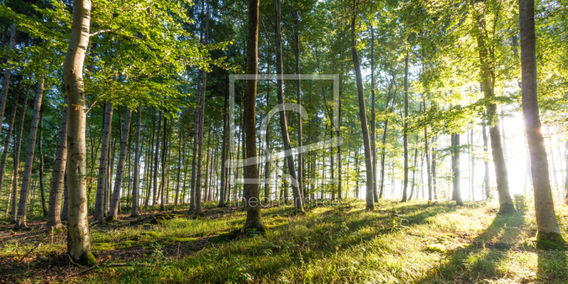 frei wählbarer Bildausschnitt für Ihr Bild auf Tischdecke