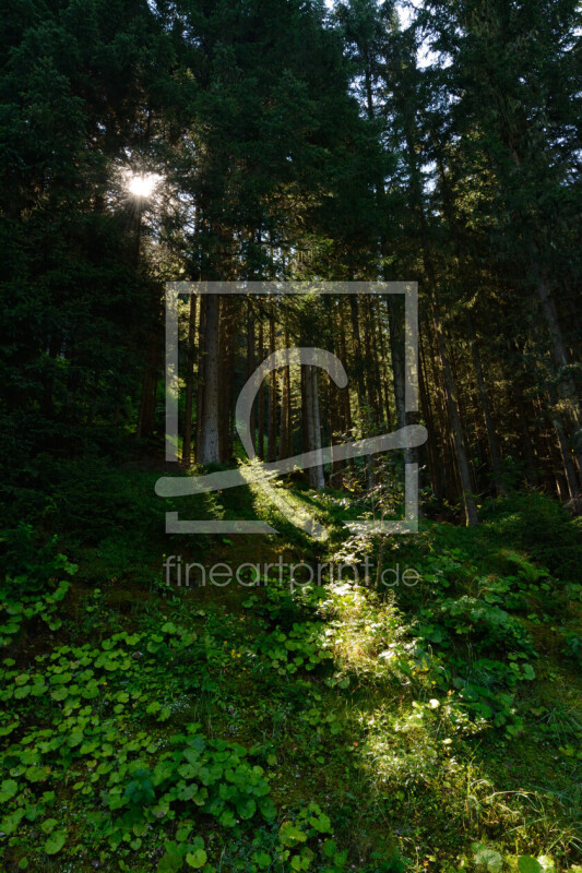 frei w&auml;hlbarer Bildausschnitt f&uuml;r Ihr Bild auf Tischdecke