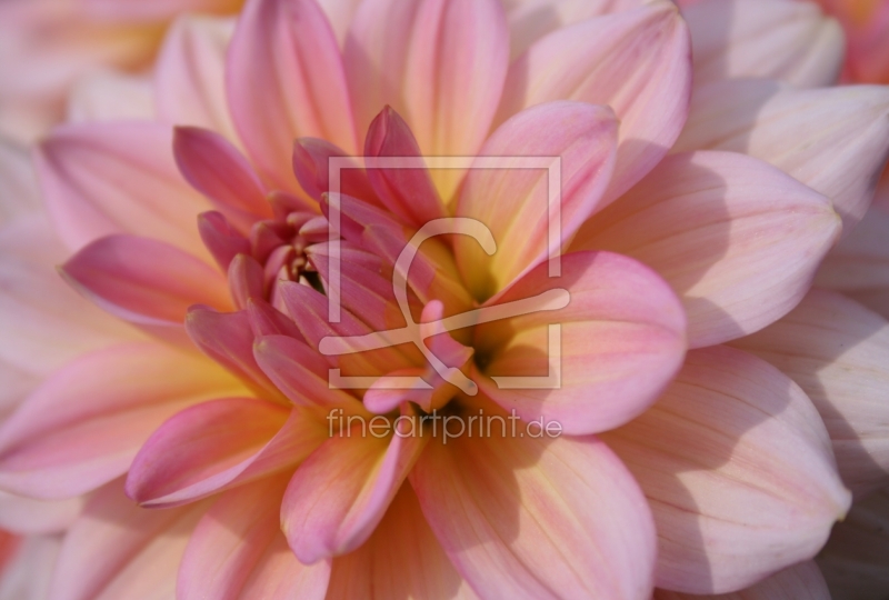 frei w&auml;hlbarer Bildausschnitt f&uuml;r Ihr Bild auf Tischdecke