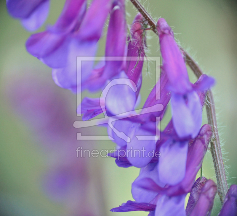 frei wählbarer Bildausschnitt für Ihr Bild auf Tischdecke