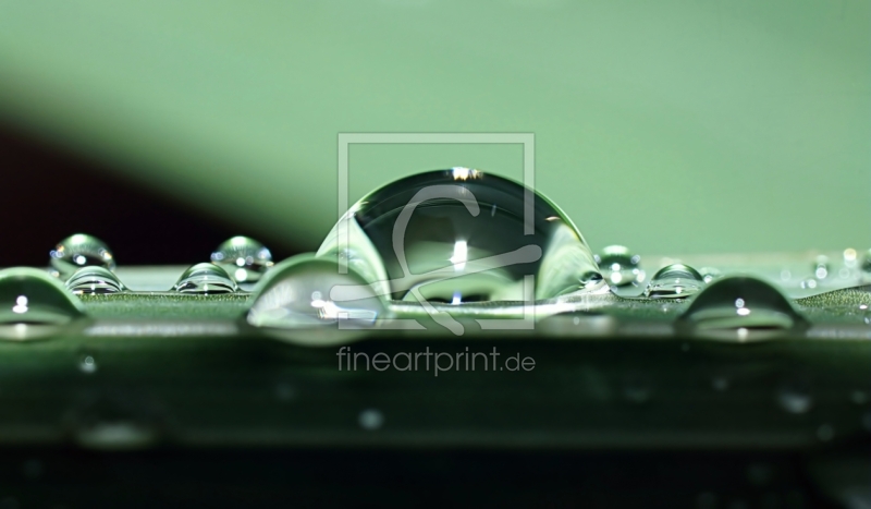 frei wählbarer Bildausschnitt für Ihr Bild auf Tischdecke