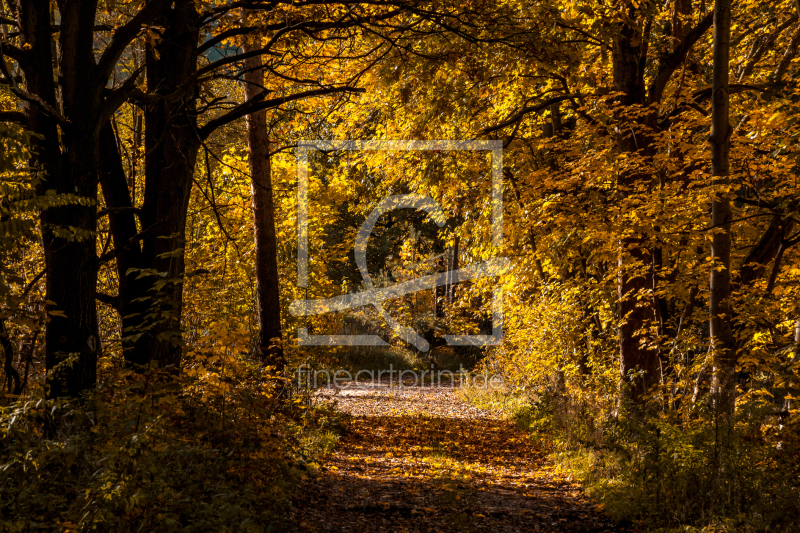 frei wählbarer Bildausschnitt für Ihr Bild auf Tischdecke