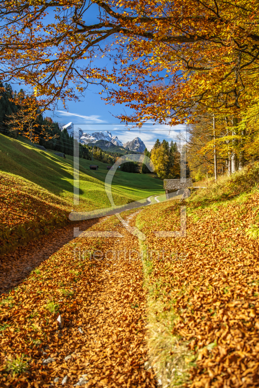 frei wählbarer Bildausschnitt für Ihr Bild auf Tischdecke