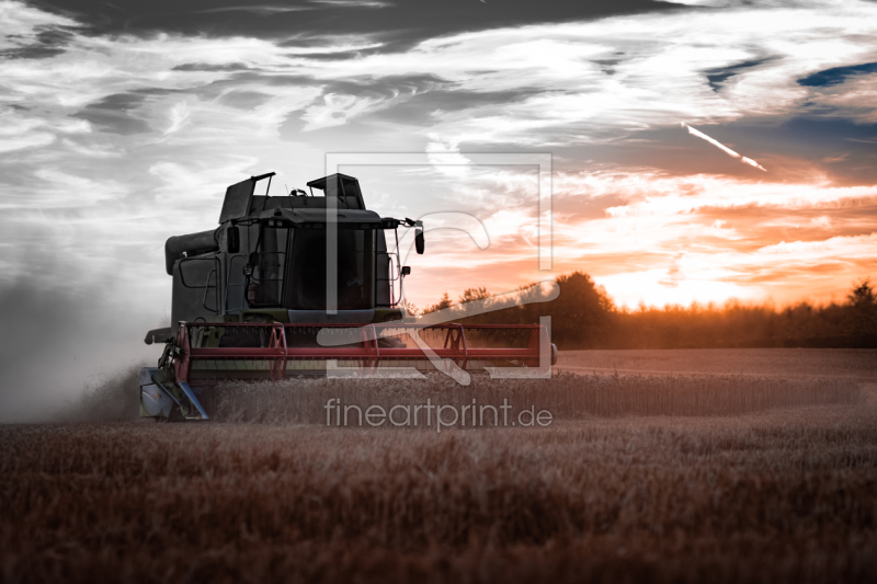 frei wählbarer Bildausschnitt für Ihr Bild auf Tischdecke