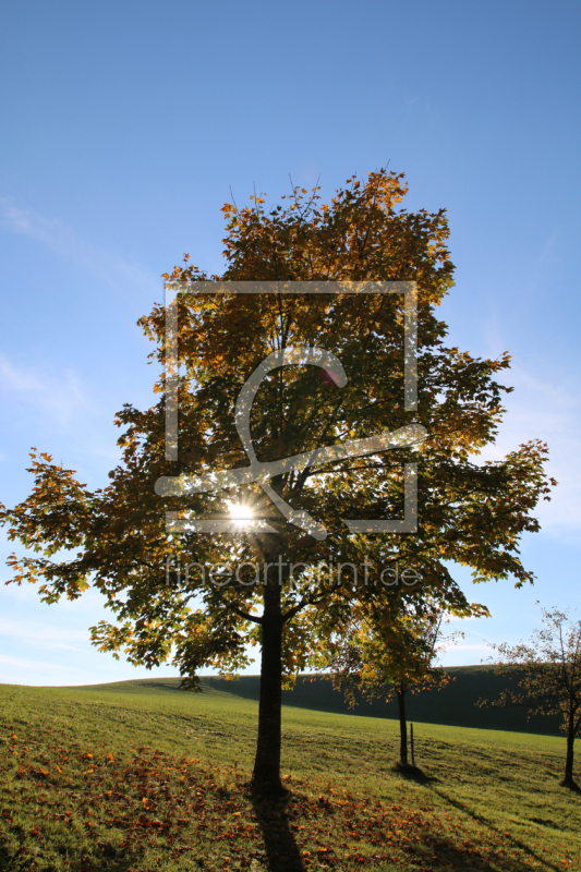 frei w&auml;hlbarer Bildausschnitt f&uuml;r Ihr Bild auf Tischdecke