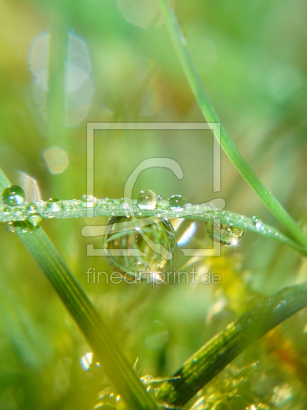 frei wählbarer Bildausschnitt für Ihr Bild auf Tischdecke