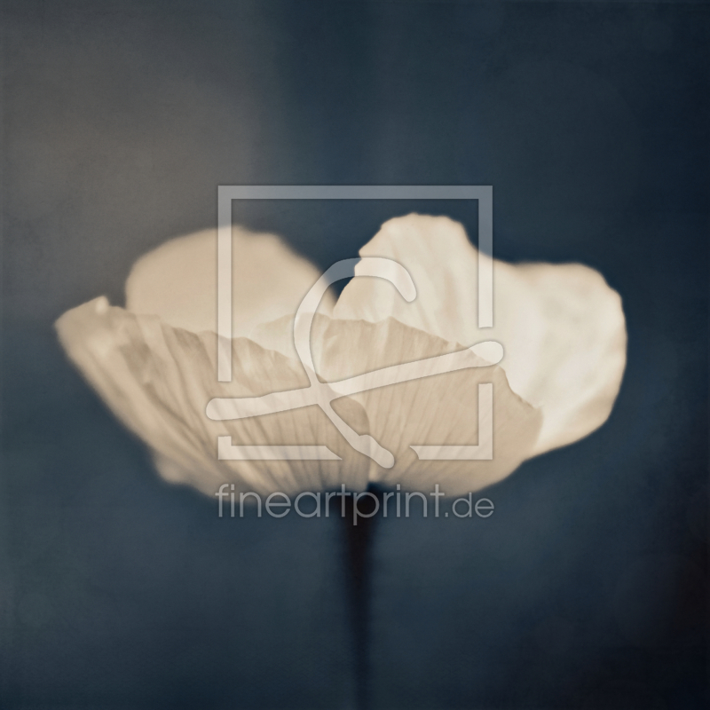 frei wählbarer Bildausschnitt für Ihr Bild auf Tischdecke