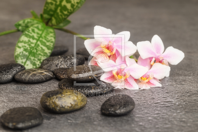 frei wählbarer Bildausschnitt für Ihr Bild auf Tischdecke