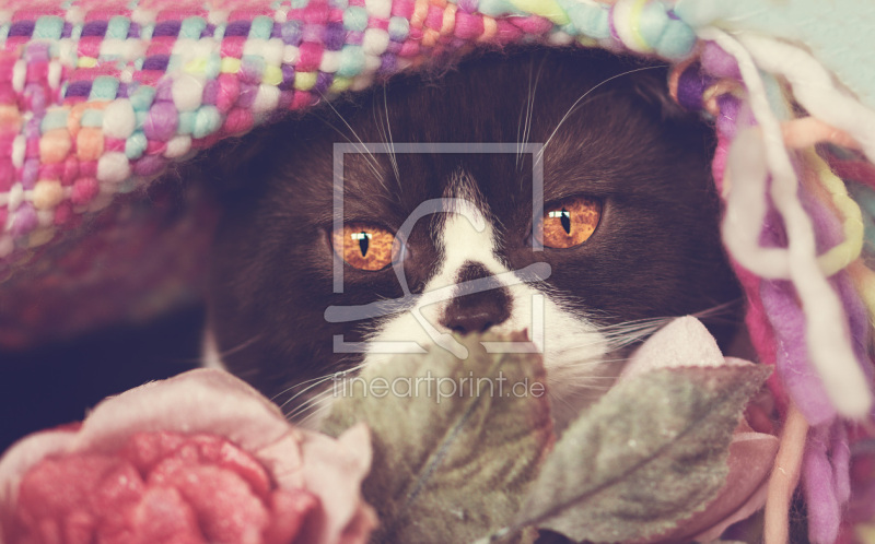 frei wählbarer Bildausschnitt für Ihr Bild auf Tischdecke