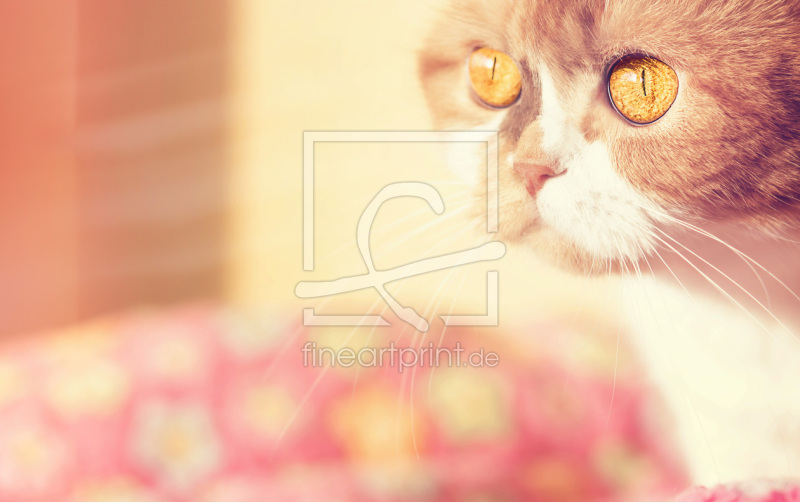 frei wählbarer Bildausschnitt für Ihr Bild auf Tischdecke