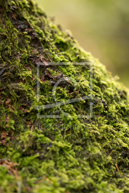 frei w&auml;hlbarer Bildausschnitt f&uuml;r Ihr Bild auf Tischdecke