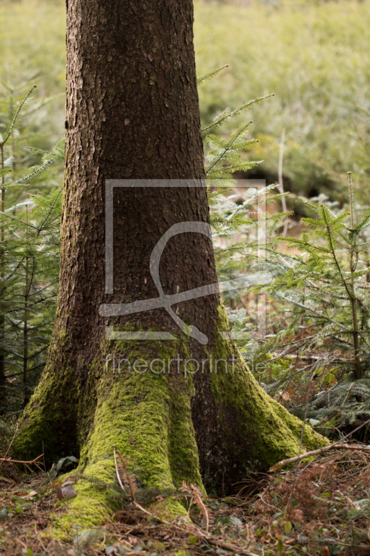 frei w&auml;hlbarer Bildausschnitt f&uuml;r Ihr Bild auf Tischdecke
