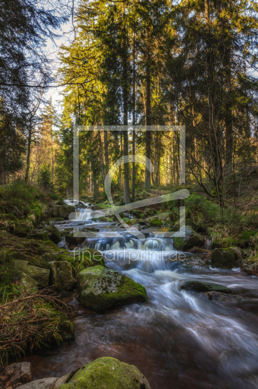 frei wählbarer Bildausschnitt für Ihr Bild auf Tischdecke