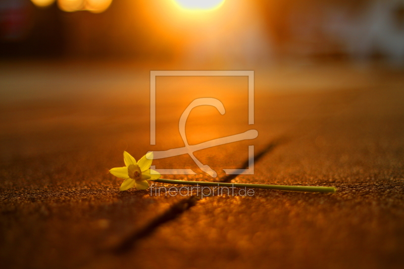 frei w&auml;hlbarer Bildausschnitt f&uuml;r Ihr Bild auf Tischdecke