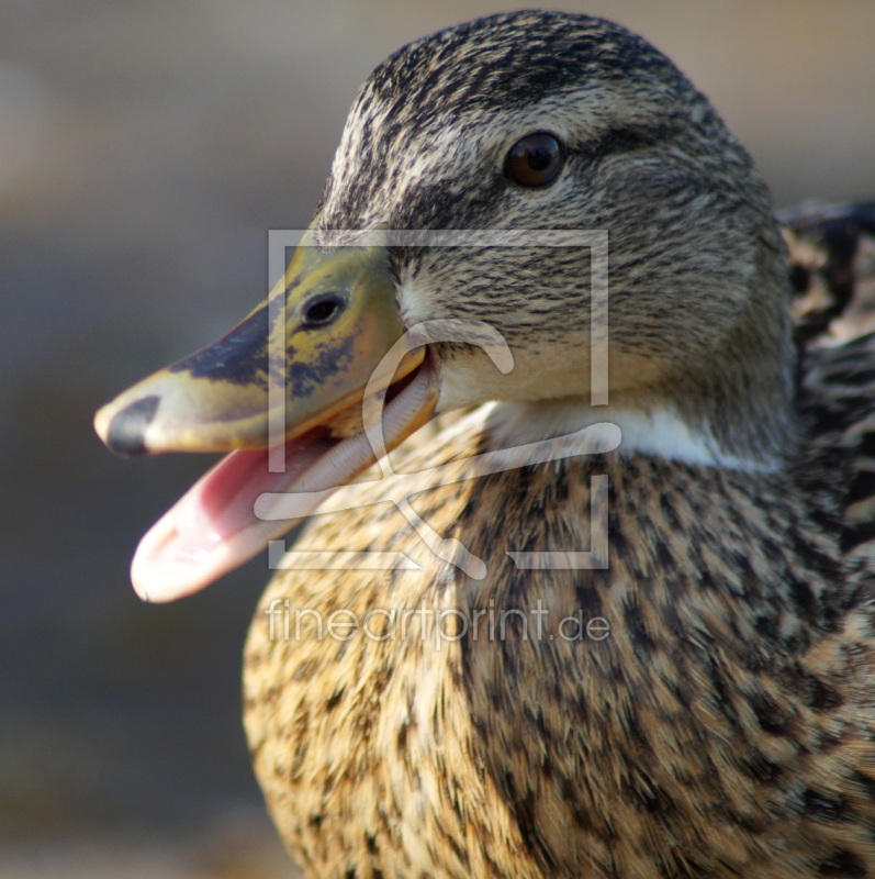 frei wählbarer Bildausschnitt für Ihr Bild auf Tischdecke
