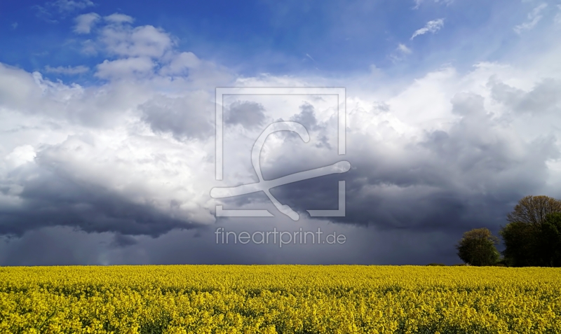 frei w&auml;hlbarer Bildausschnitt f&uuml;r Ihr Bild auf Tischdecke