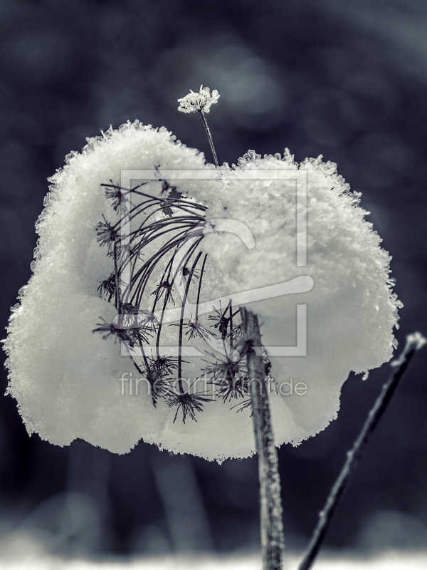 frei wählbarer Bildausschnitt für Ihr Bild auf Tischdecke